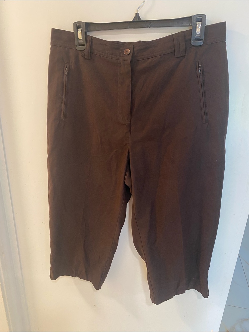 Christopher & Banks Brown Flat Front Men's Shorts